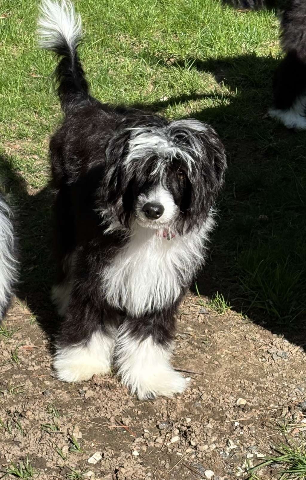 Moonbeam Follow Your Heart To Gardine