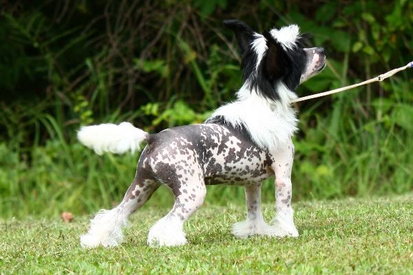 Belews Spread The Word