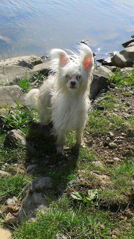 Vernisazh Mari Jannetta Lisetta