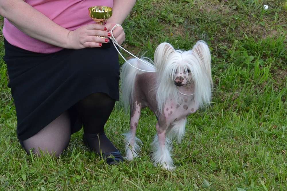 Vellar Pljus Arshin Mal Allan