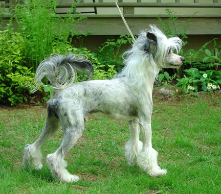 Expression-Knock It Off