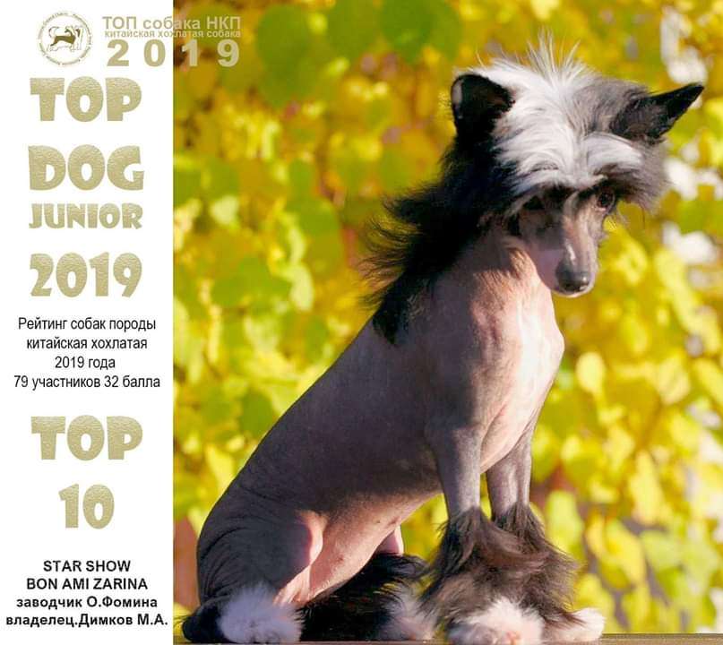 Star Show Bon Ami Zarina Show Galaktika