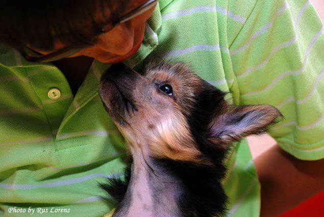 Rus Lorens Nightwish