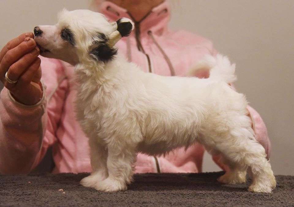 Jean Dark The Bubble Bunch