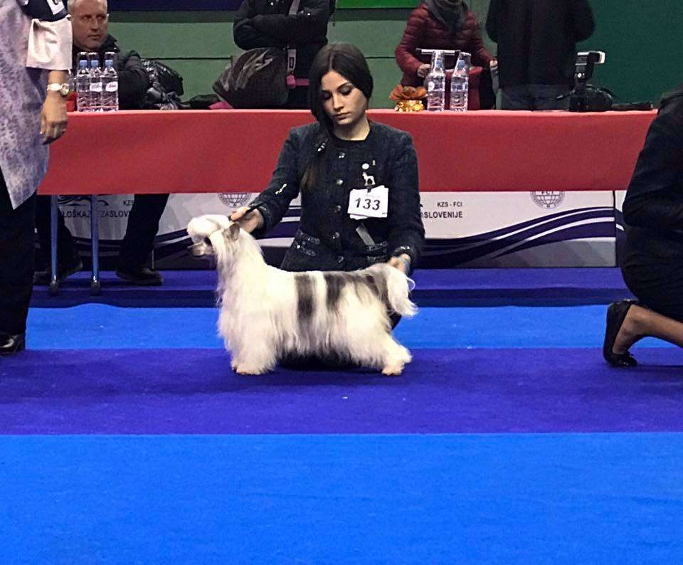 Legion of Dream Winter's Tale