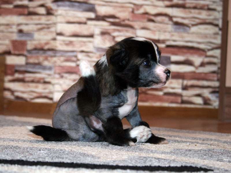 Picture