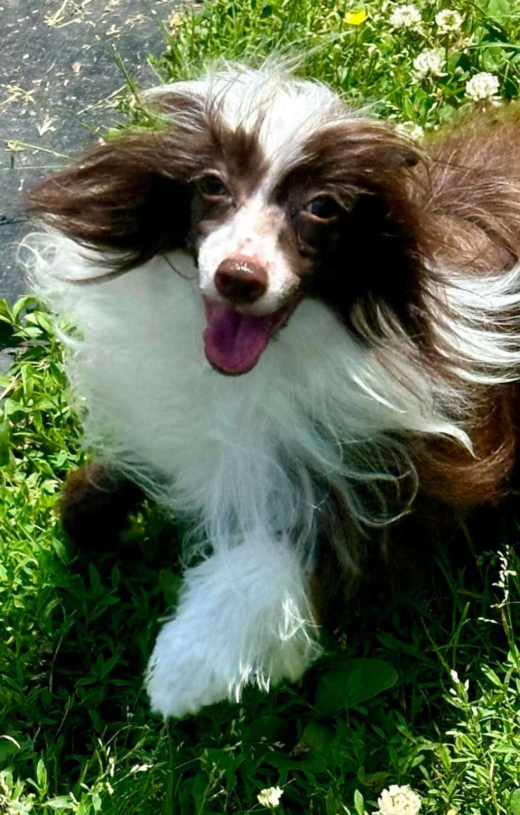 Long Haul's But Once In A Cosmic Blue Moon