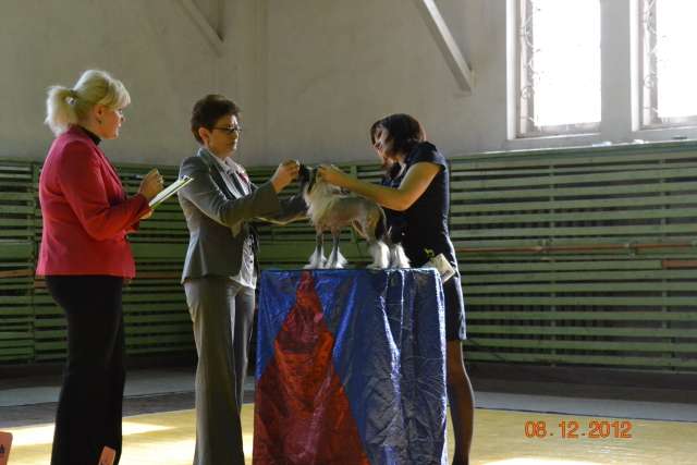 Elance Louange Valkyrie Vixen