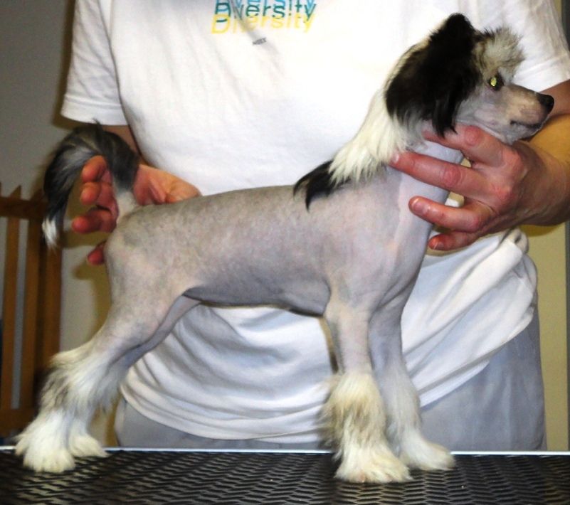 Family Song's Nadyne