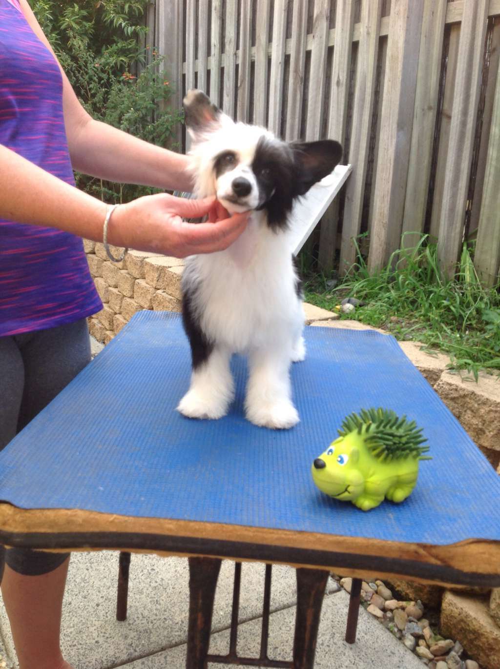 Liliah Love Songs N Sonnets