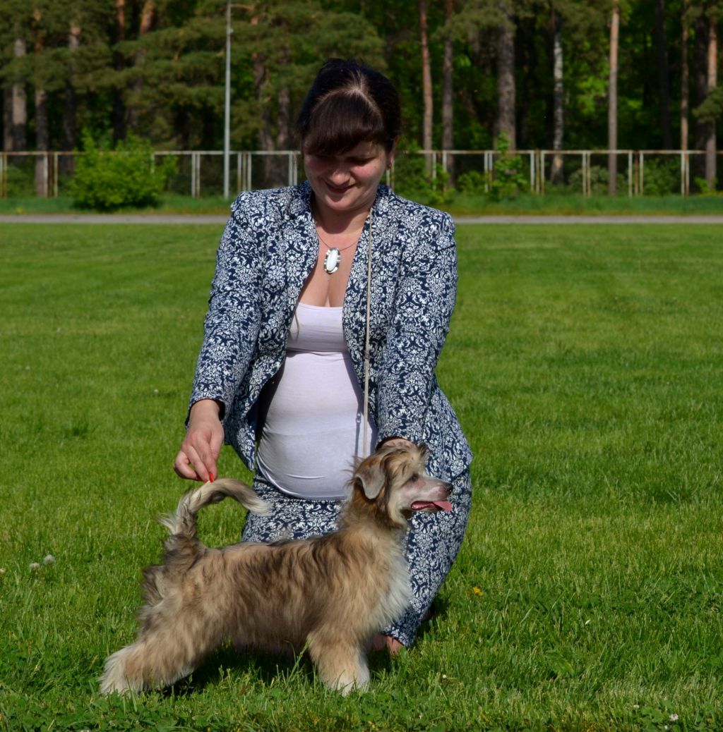 Pavlina ot Volnogo Psa