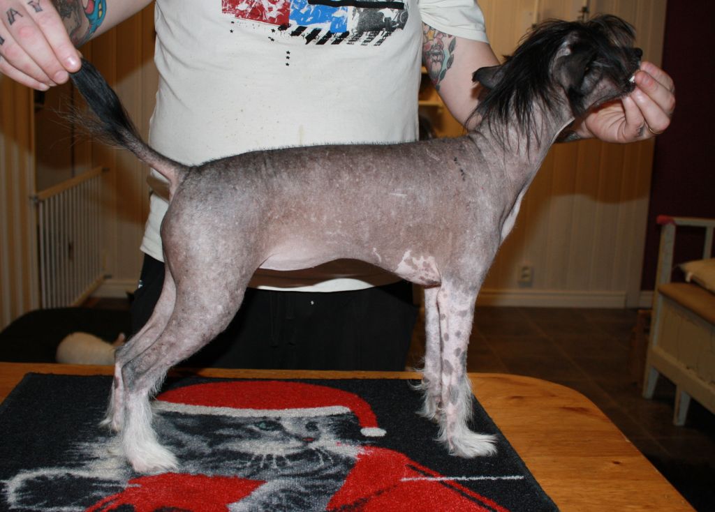 Love Bites Rock And Roll All Nights