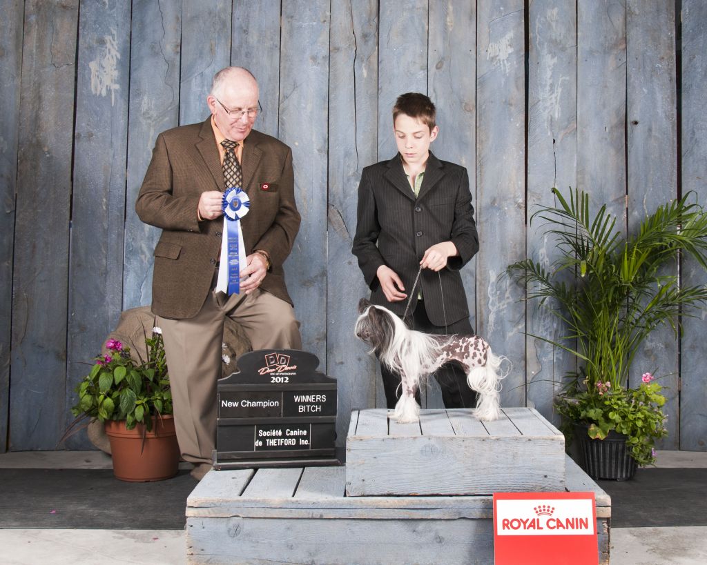 Nu Poils Phoebe Comes A Runnin