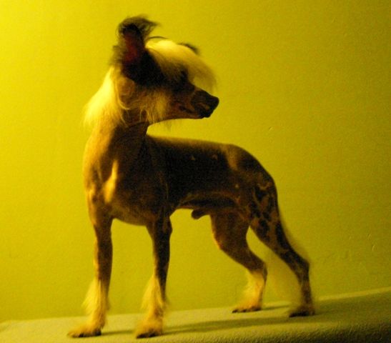 Picture
