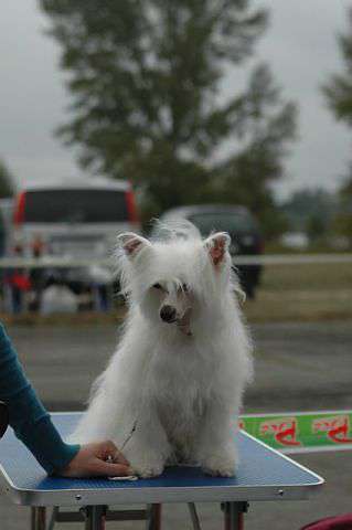 Gracia iz Sozvezdiya Khana
