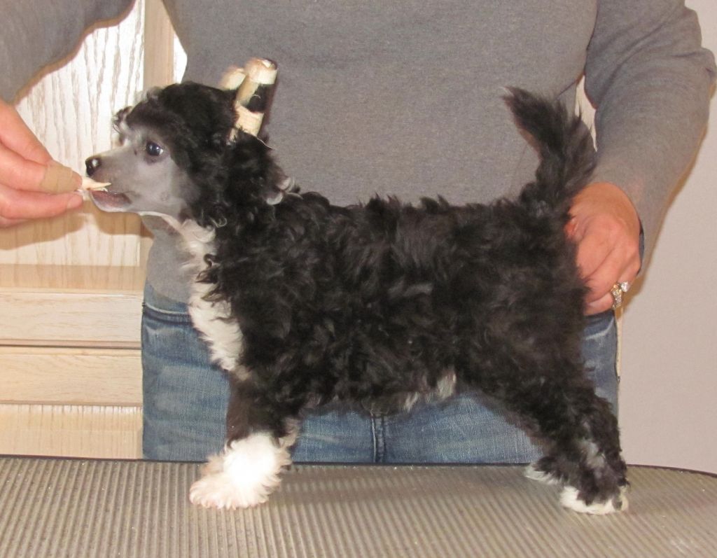 Bodeswell Half Century