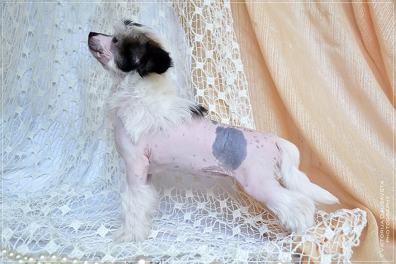 Ariadne Love Magic Legends