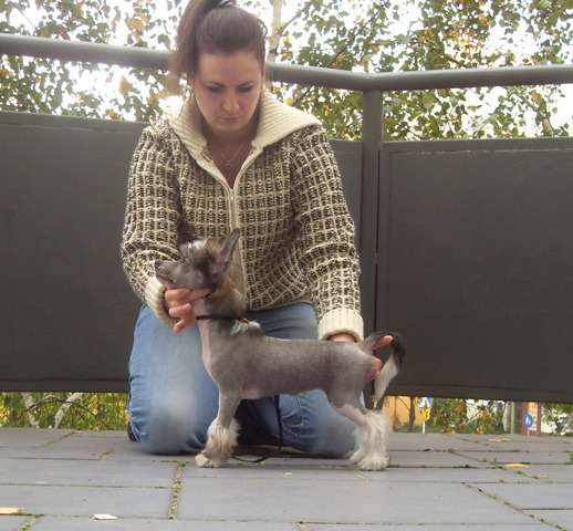 Picture
