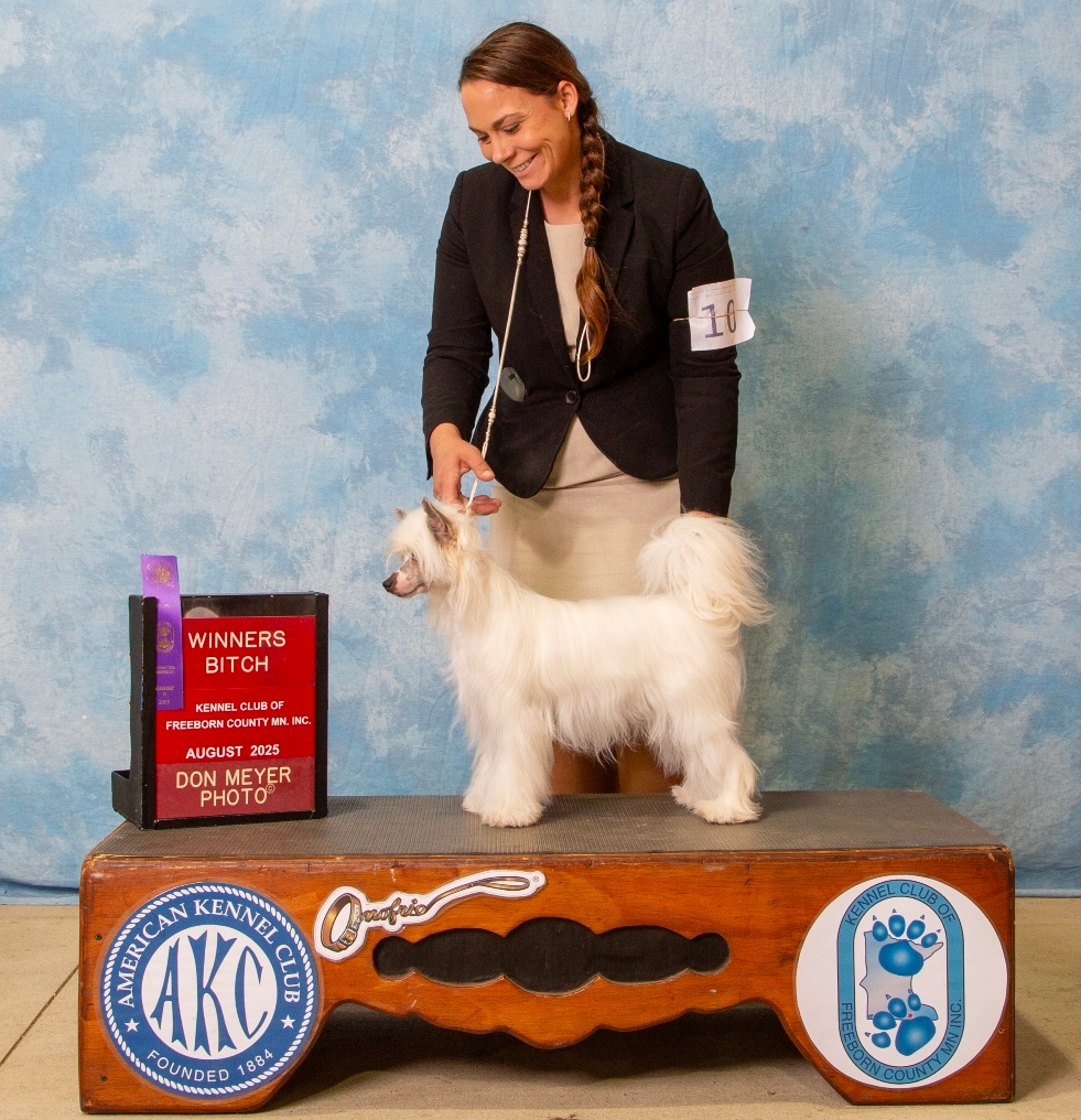 Showy Ladys A League of Her Own