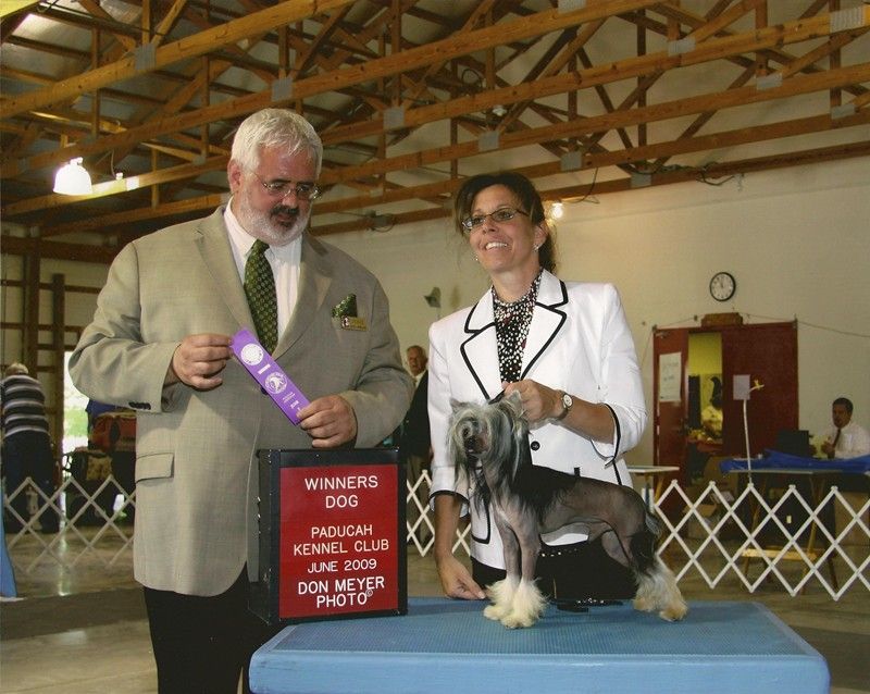 Silver Bluff Steel Magnum PI