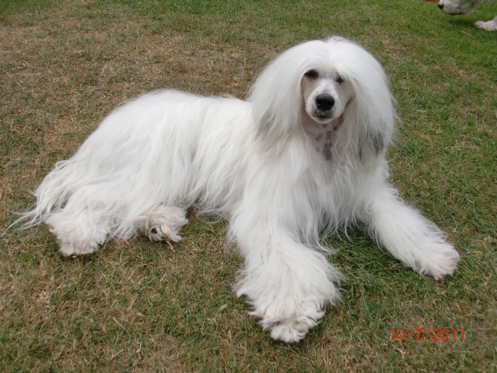 Catherine Bell Nazarad