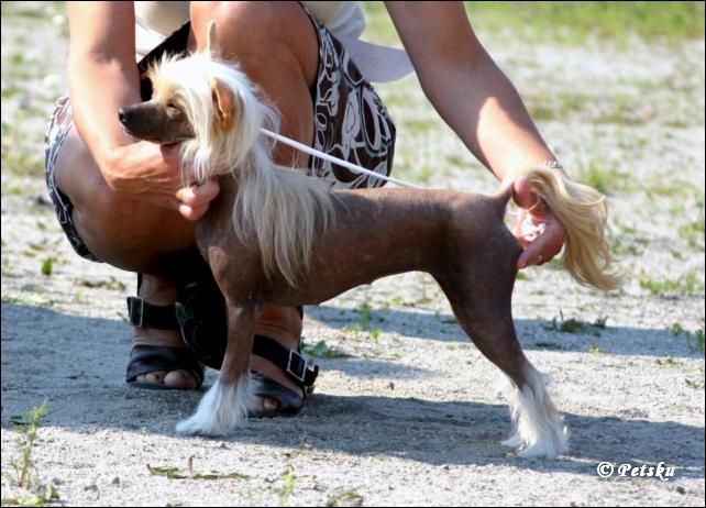 Candy Queen's Eve Of The Eden