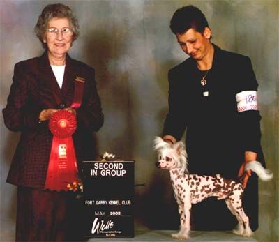 Nakota Ink Spots On Kaycee