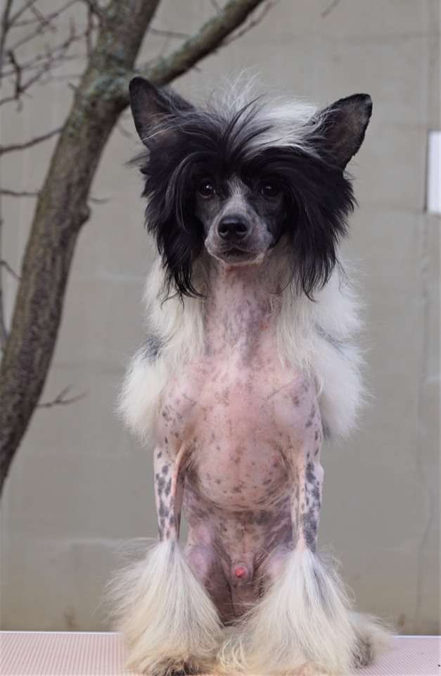 Hero  Z Valdorfskych lesu