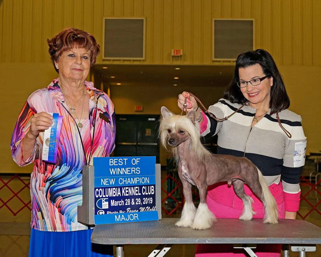 Cabaret Dasha Ticket To Ride