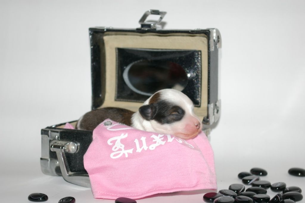 Picture