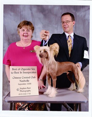 Mystic Morning Shadow White