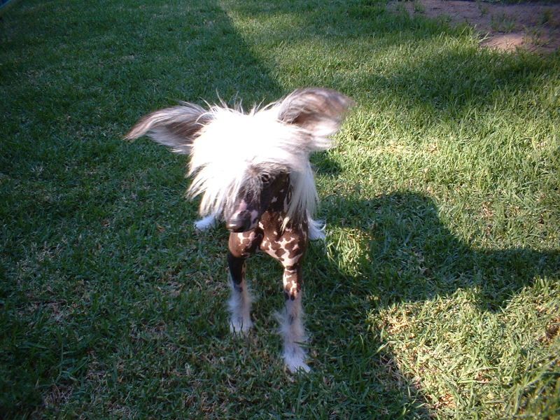 Chinkie Yen Murielfulez