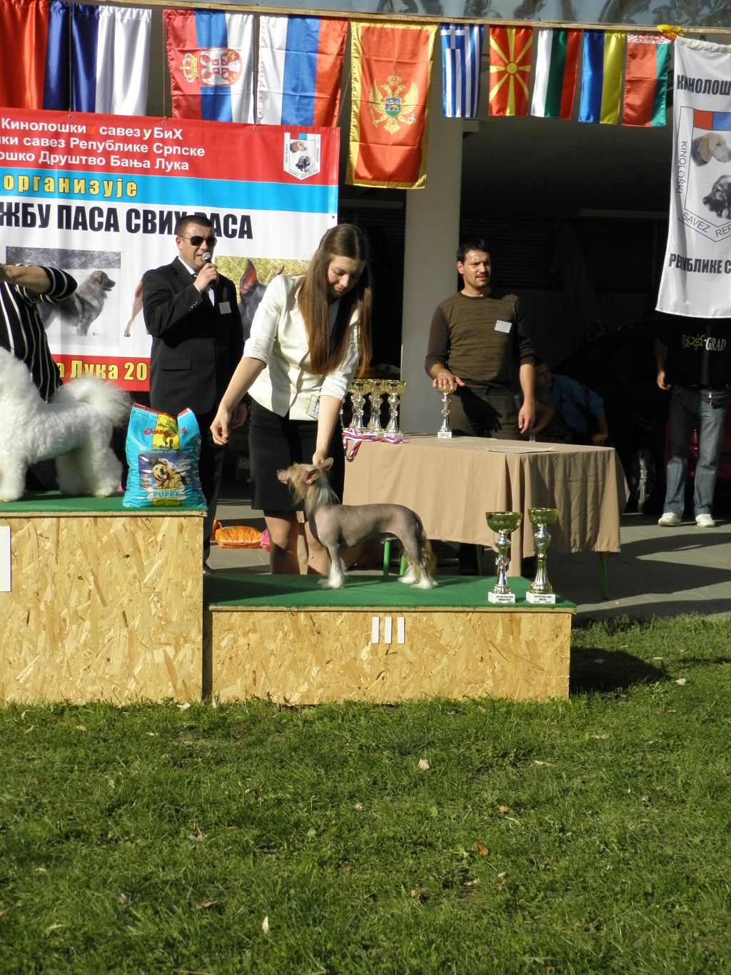 Picture