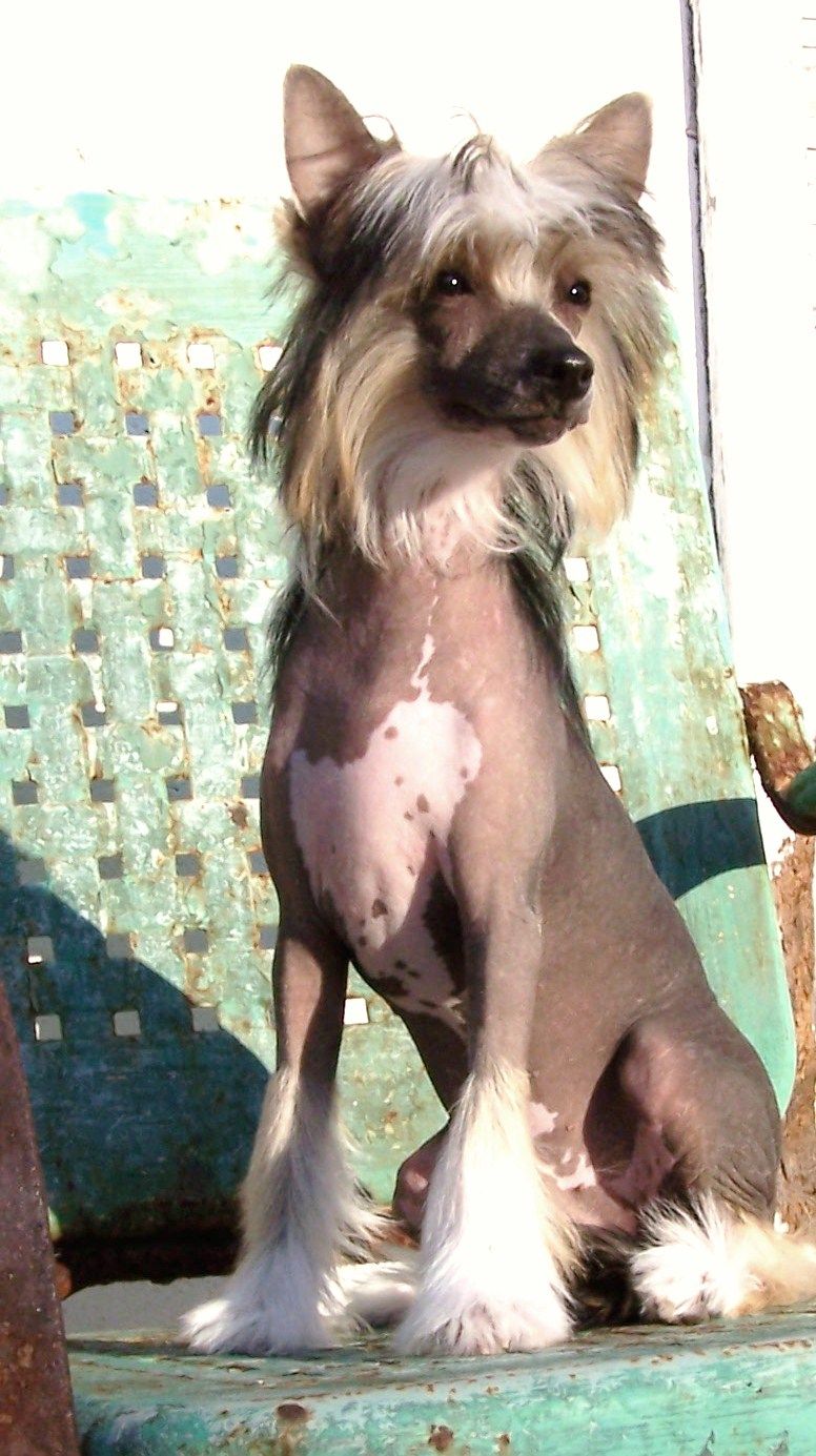 A'Eden Busted Flat In Baton Rouge