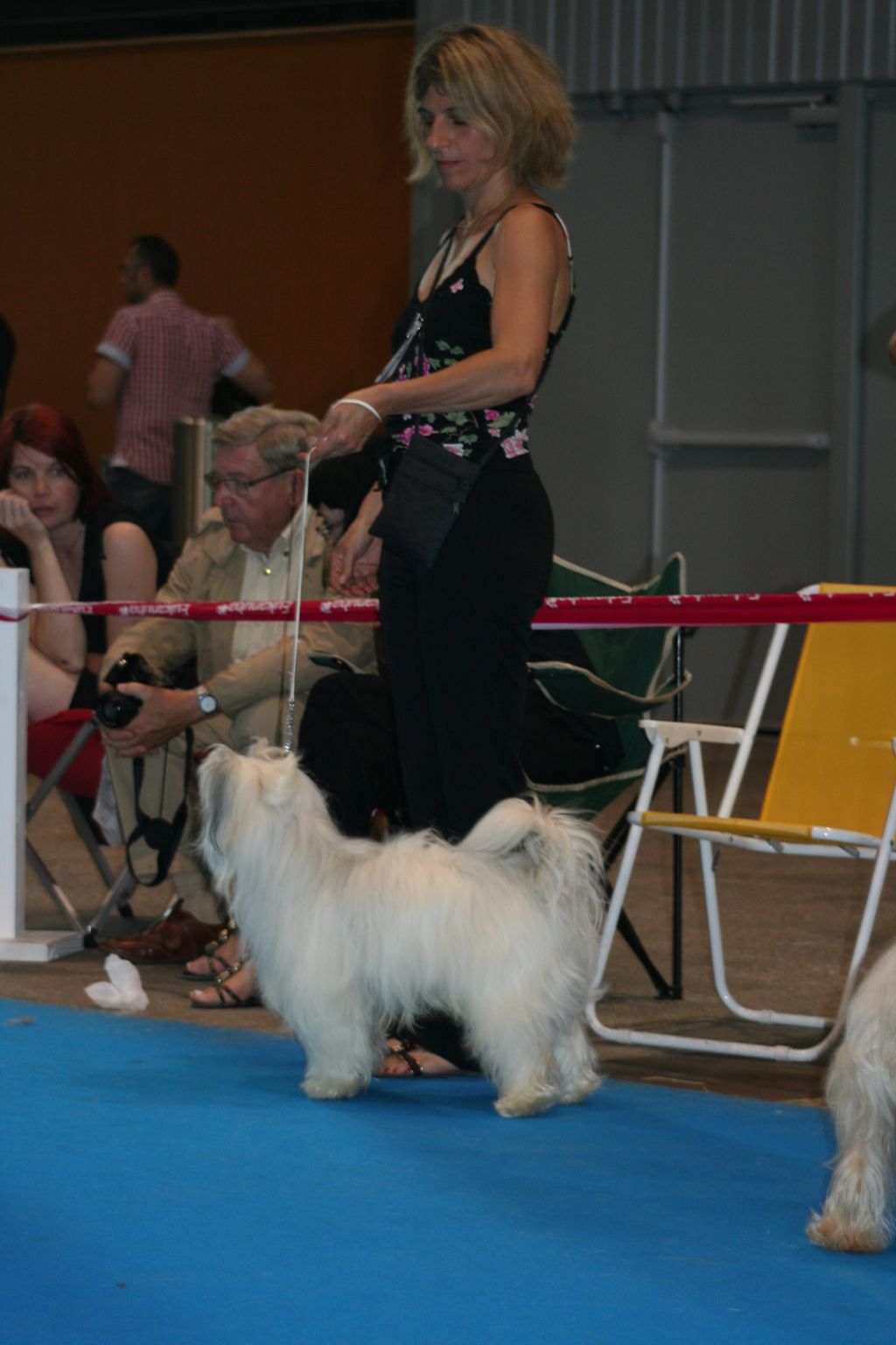 Graine de Leader de l'Orée des Rêves