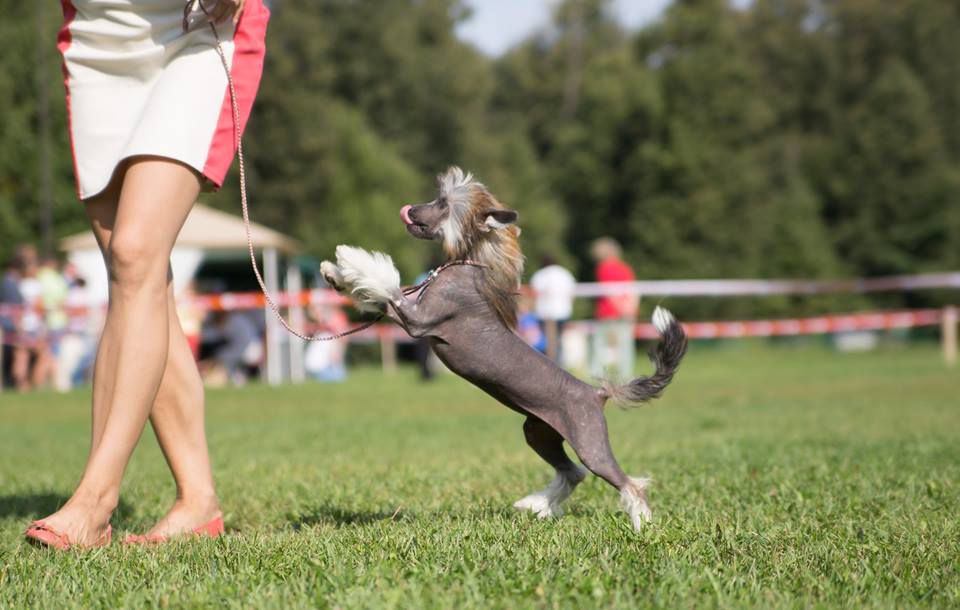 Grand Sunlife Frapin