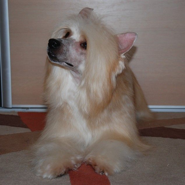 Picture