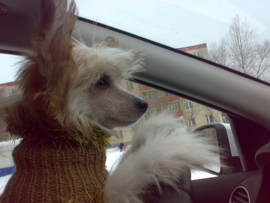 Kristal Yaniry Zagadka Sfinksa