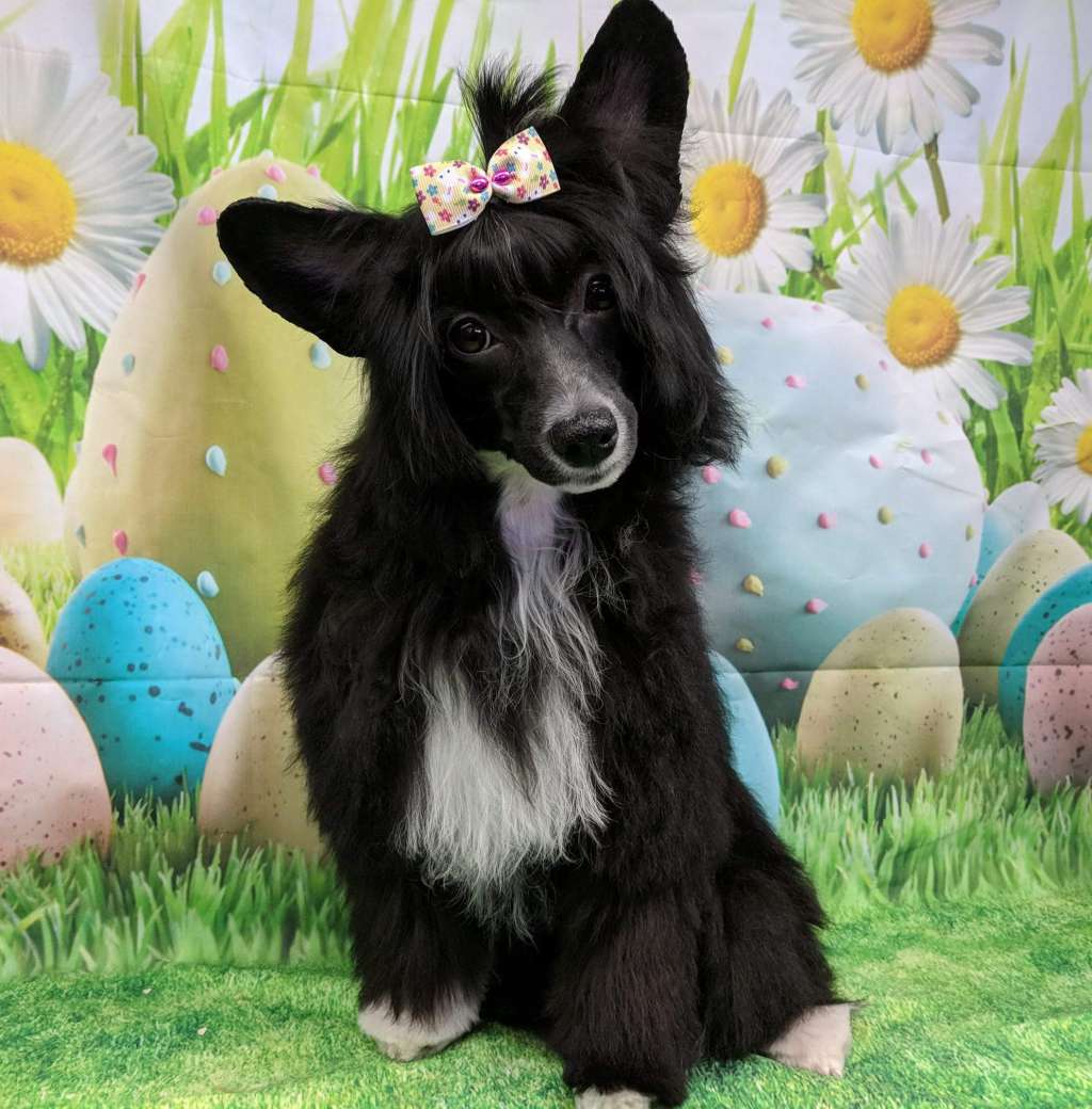 Celestial Love In The Dark