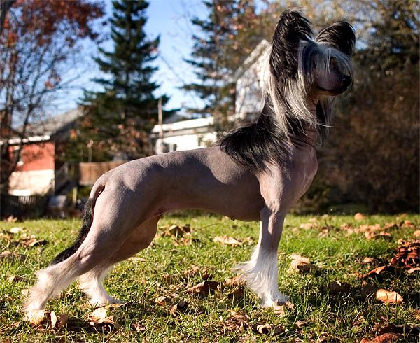 Tacori's You Play You Pay