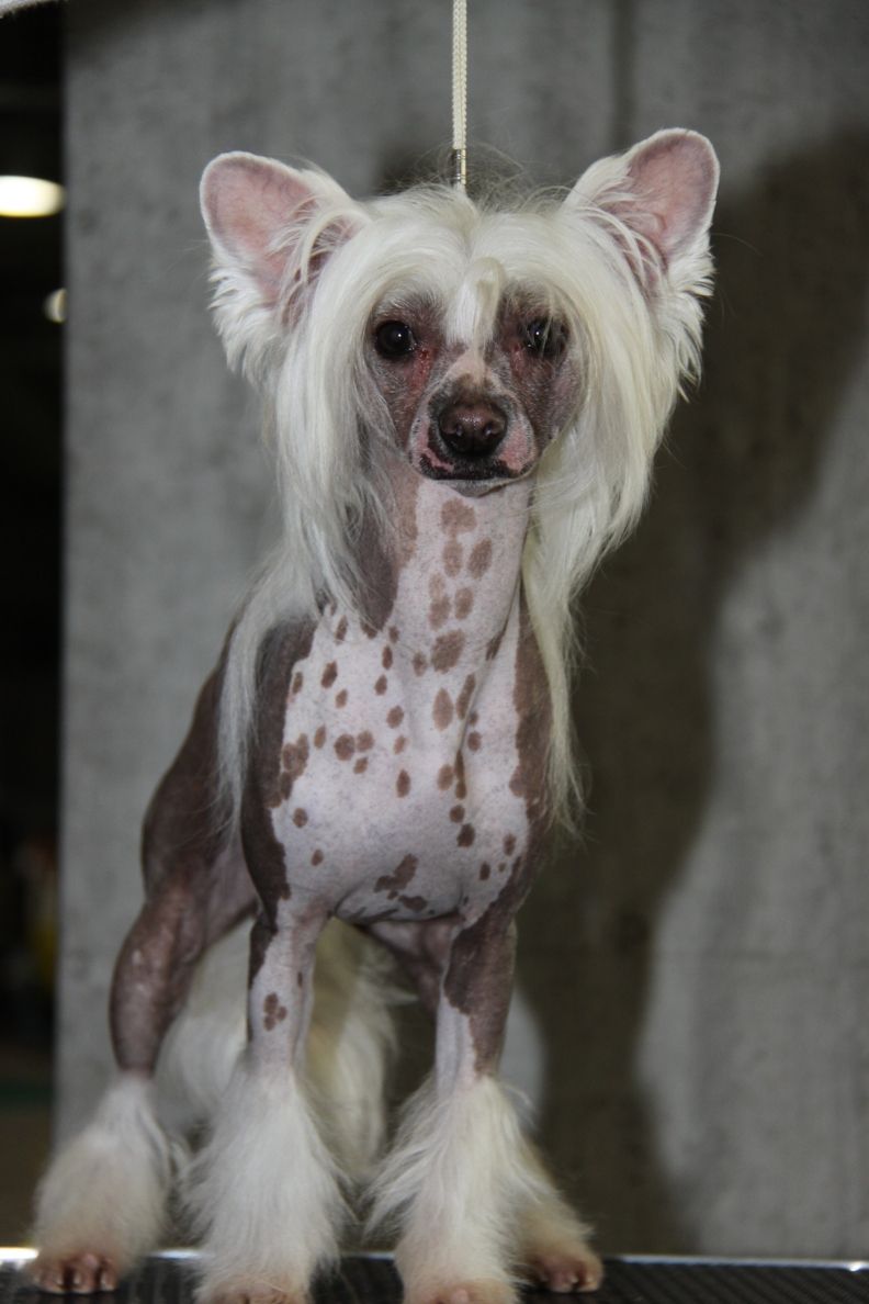 Rolling Stone Fantasy Island