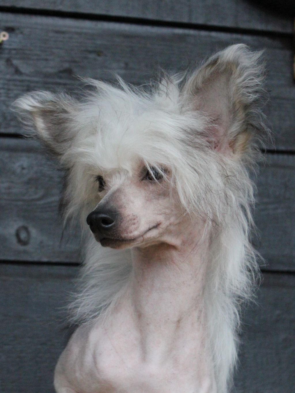 Blendverk's District 12