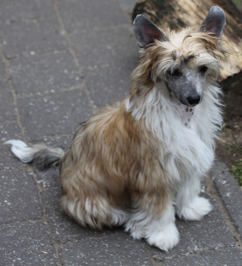 Mackenzie From China with love