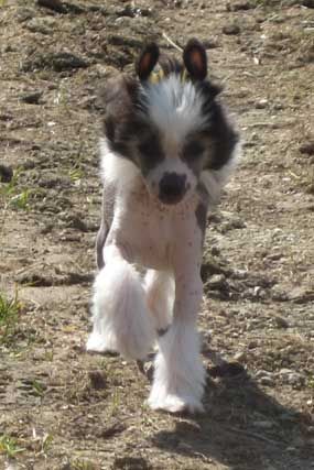 Easy Come Easy Go De Gabritho