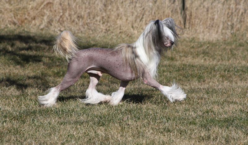 Omegaville Walk This Way