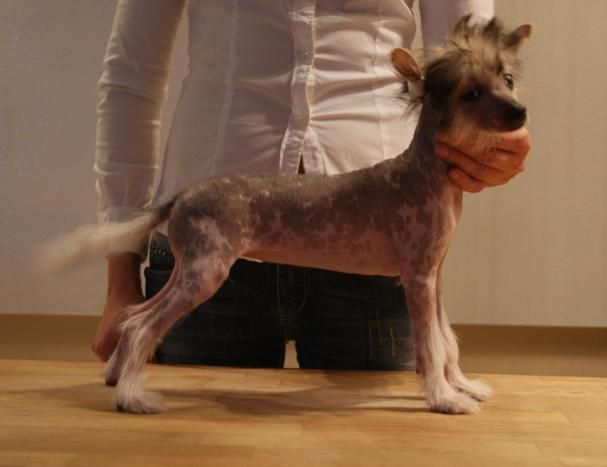 ..............z Bajki Agnieszki