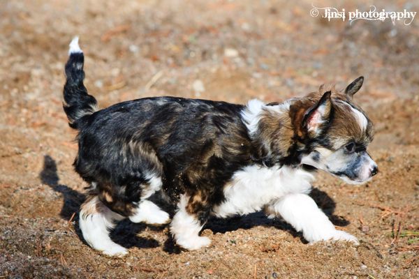 Bemu's Ain't Nothing Like