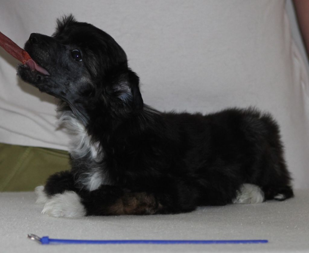 Hottie Tots Blizzard Storm