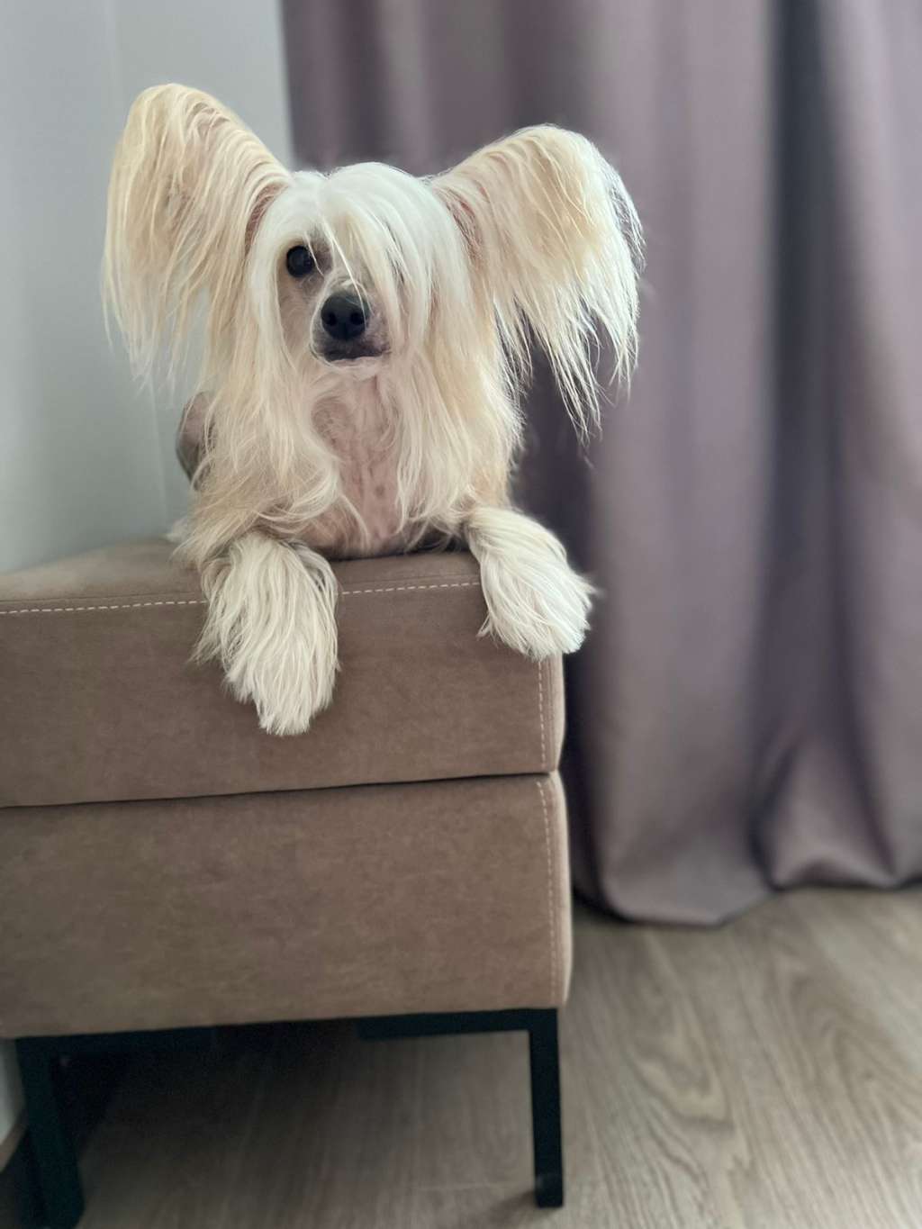 Elance Louange Luna Leiko