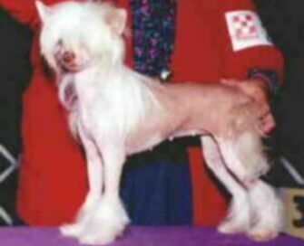 Cadaran North Star At Nakota